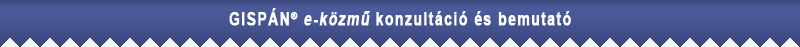 GISPÁNR e-közmű konzultáció és bemutató